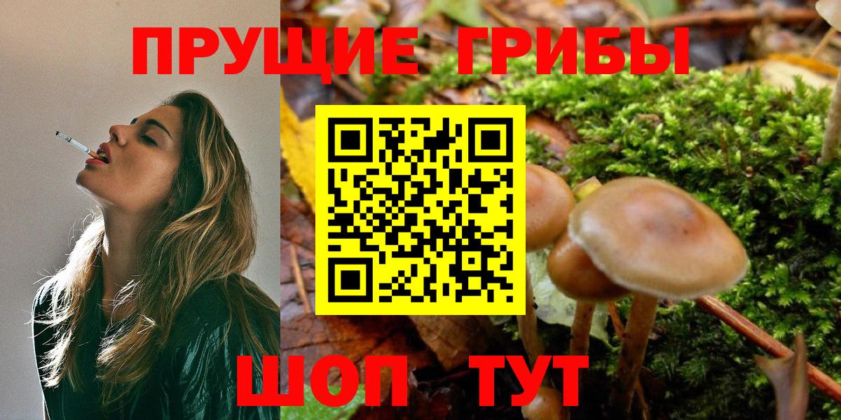 Еманжелинск  Галлюциногенные грибы ЛСД  Вход с VPN 